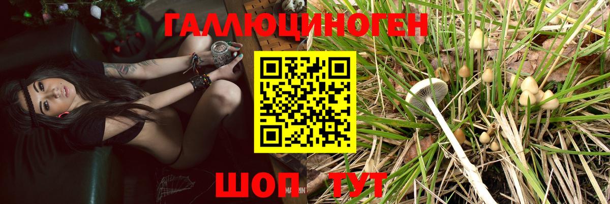 Полевской  хочу   Галлюциногенные грибы ЛСД  Вход с VPN  Галлюциногенные грибы прущие грибы 